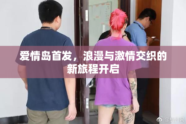 爱情岛首发，浪漫与激情交织的新旅程开启