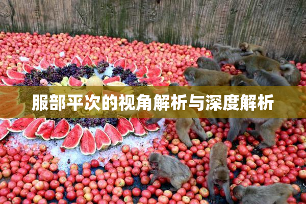 服部平次的视角解析与深度解析