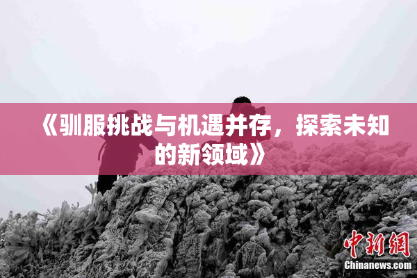 《驯服挑战与机遇并存，探索未知的新领域》