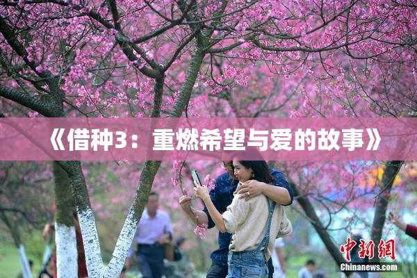 《借种3：重燃希望与爱的故事》