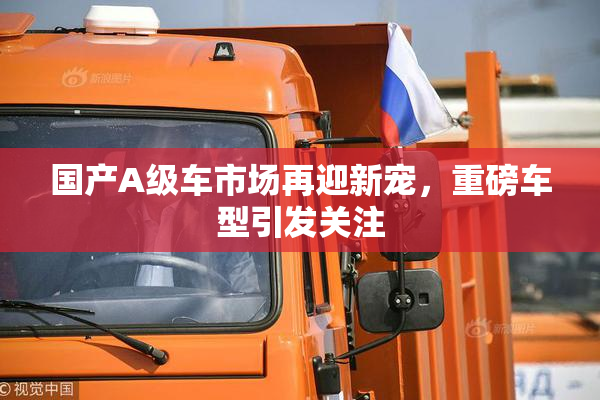 国产A级车市场再迎新宠，重磅车型引发关注