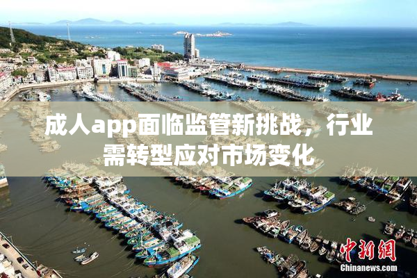成人app面临监管新挑战，行业需转型应对市场变化