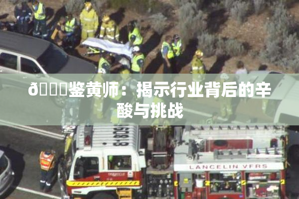 🔞鉴黄师：揭示行业背后的辛酸与挑战