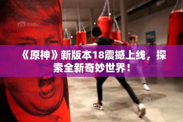 《原神》新版本18震撼上线，探索全新奇妙世界！