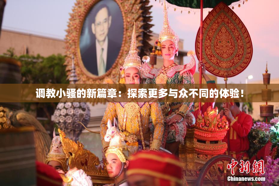 调教小骚的新篇章：探索更多与众不同的体验！