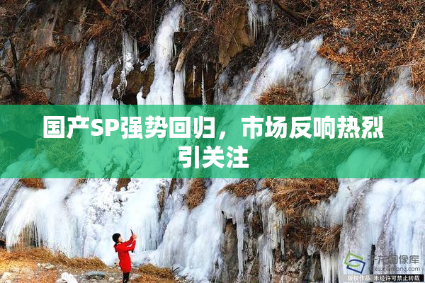 国产SP强势回归，市场反响热烈引关注
