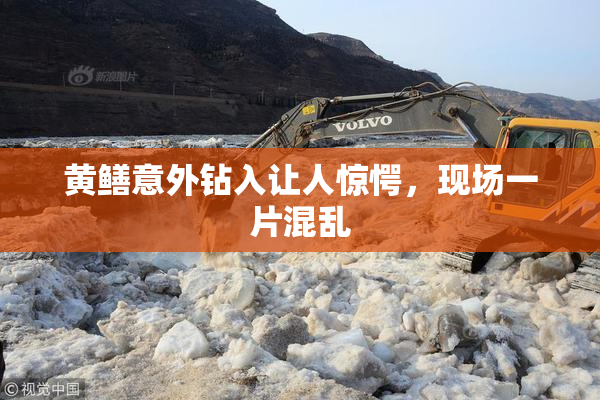 黄鳝意外钻入让人惊愕，现场一片混乱