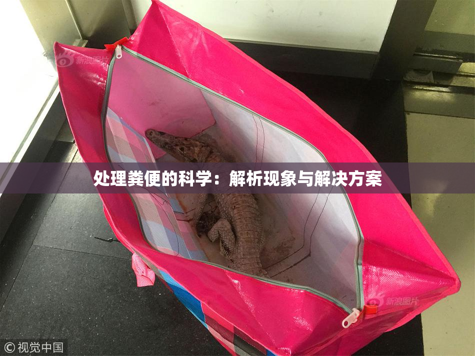 处理粪便的科学：解析现象与解决方案
