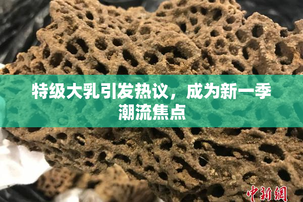 特级大乳引发热议，成为新一季潮流焦点