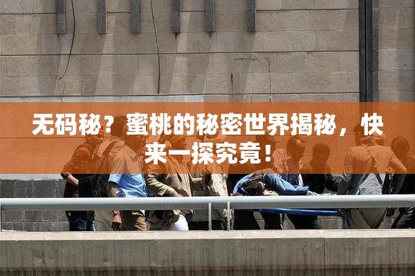 无码秘？蜜桃的秘密世界揭秘，快来一探究竟！