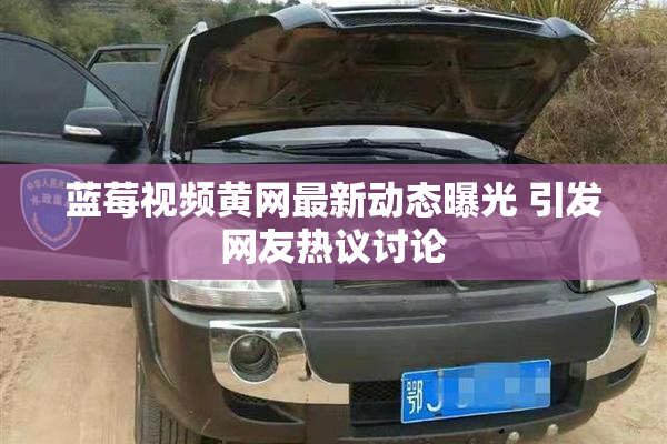 蓝莓视频黄网最新动态曝光 引发网友热议讨论