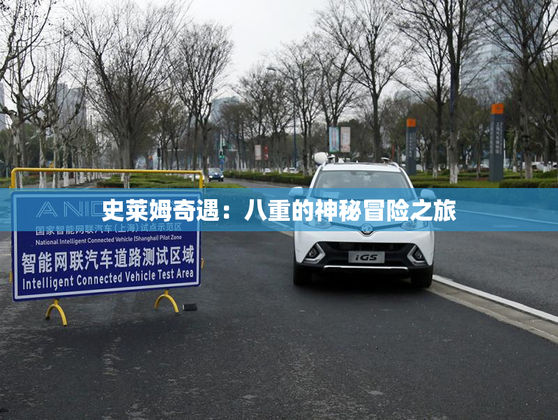 史莱姆奇遇：八重的神秘冒险之旅