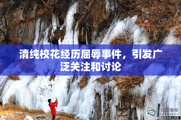 清纯校花经历屈辱事件，引发广泛关注和讨论