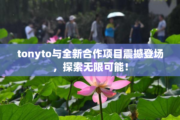 tonyto与全新合作项目震撼登场，探索无限可能！