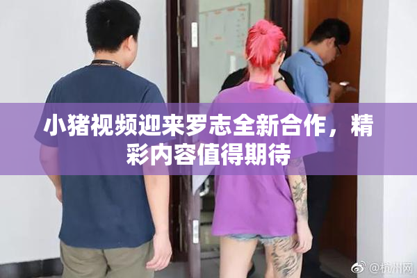 小猪视频迎来罗志全新合作，精彩内容值得期待