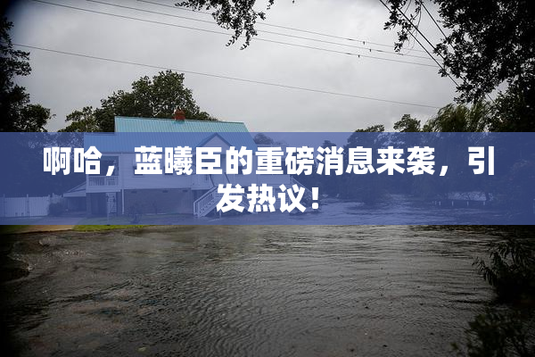 啊哈，蓝曦臣的重磅消息来袭，引发热议！