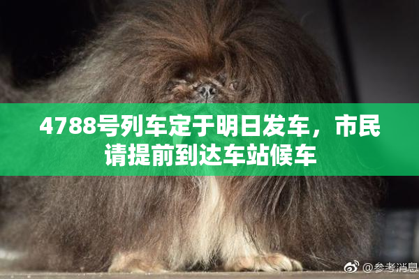 4788号列车定于明日发车，市民请提前到达车站候车