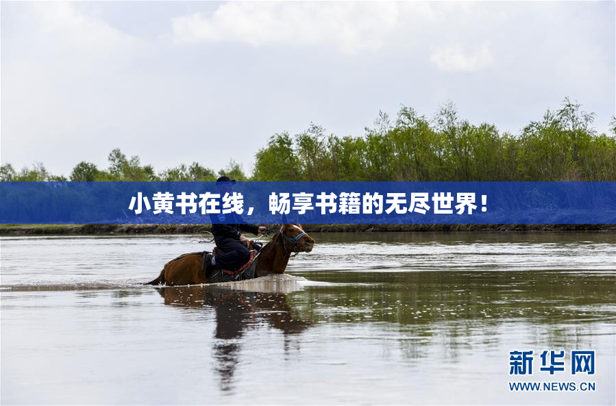 小黄书在线，畅享书籍的无尽世界！