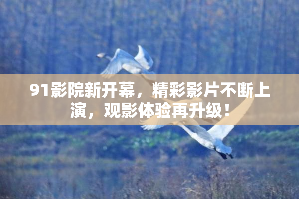 91影院新开幕，精彩影片不断上演，观影体验再升级！