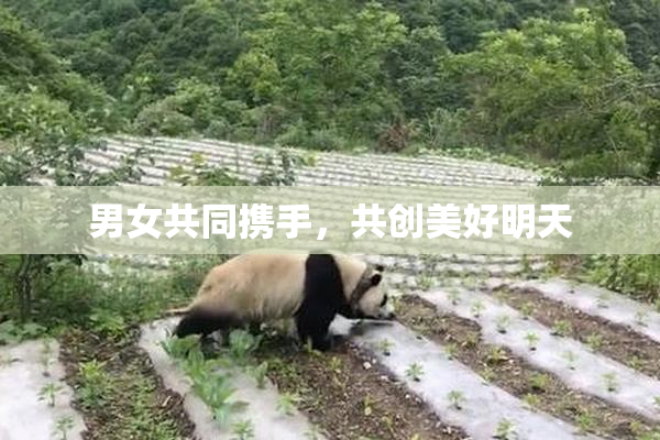 男女共同携手，共创美好明天