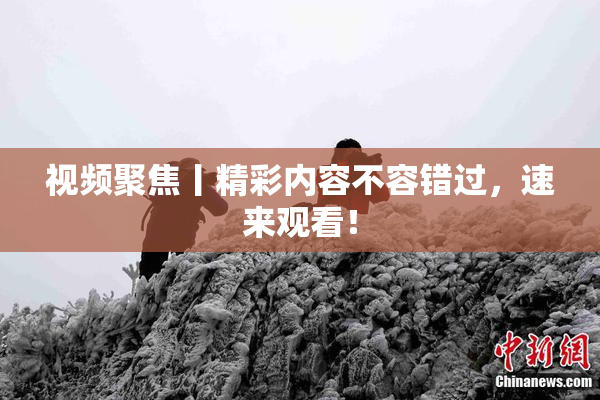 视频聚焦丨精彩内容不容错过，速来观看！