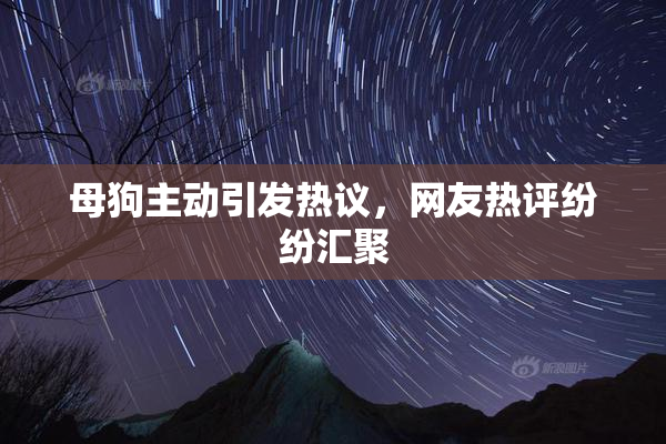 母狗主动引发热议，网友热评纷纷汇聚