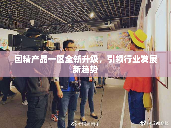 国精产品一区全新升级，引领行业发展新趋势