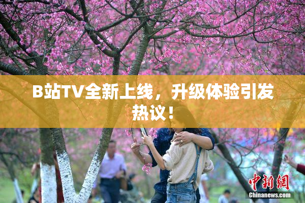 B站TV全新上线，升级体验引发热议！