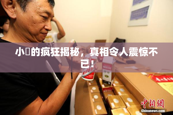小泬的疯狂揭秘，真相令人震惊不已！