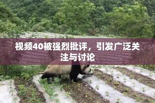 视频40被强烈批评，引发广泛关注与讨论