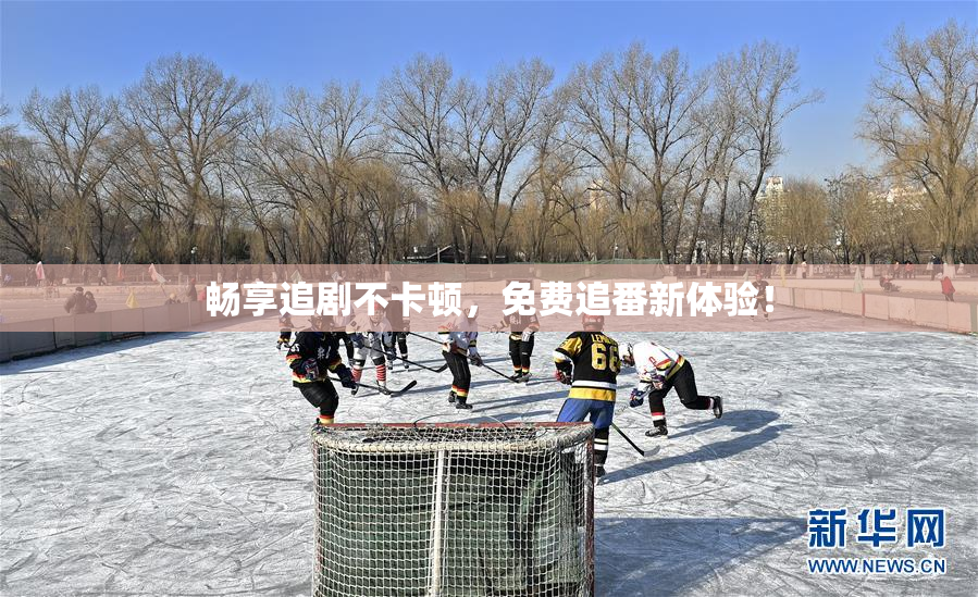 畅享追剧不卡顿，免费追番新体验！