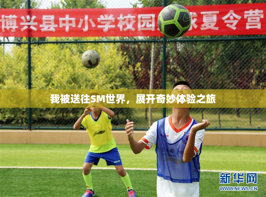 我被送往SM世界，展开奇妙体验之旅