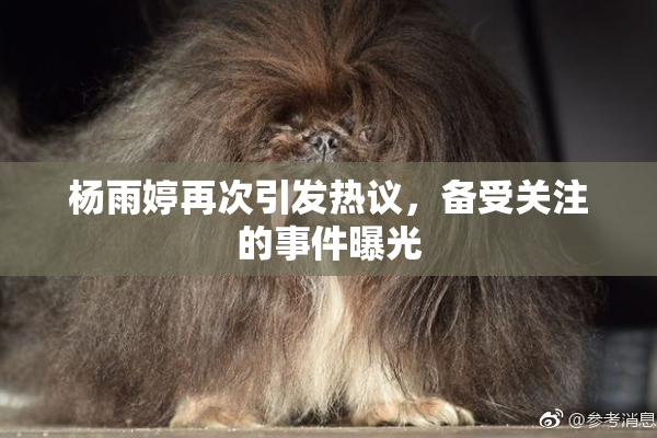 杨雨婷再次引发热议，备受关注的事件曝光