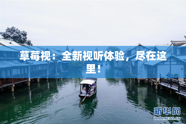 草莓视：全新视听体验，尽在这里！