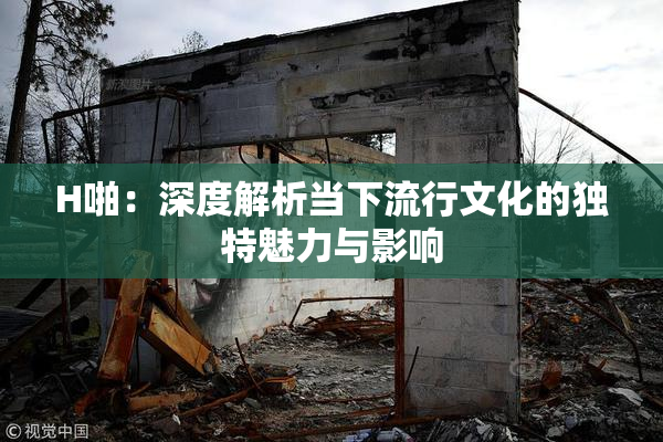 H啪：深度解析当下流行文化的独特魅力与影响