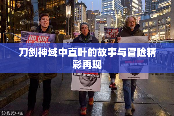刀剑神域中直叶的故事与冒险精彩再现