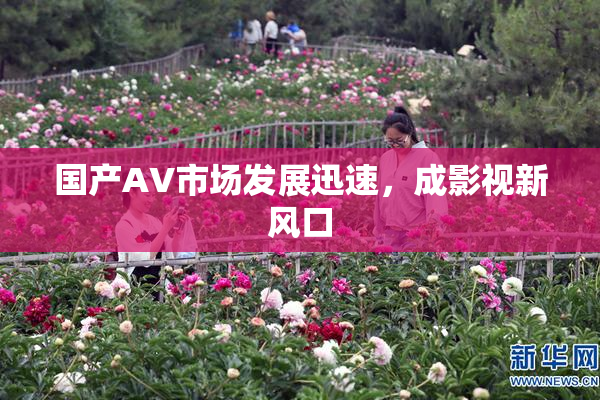 国产AV市场发展迅速，成影视新风口