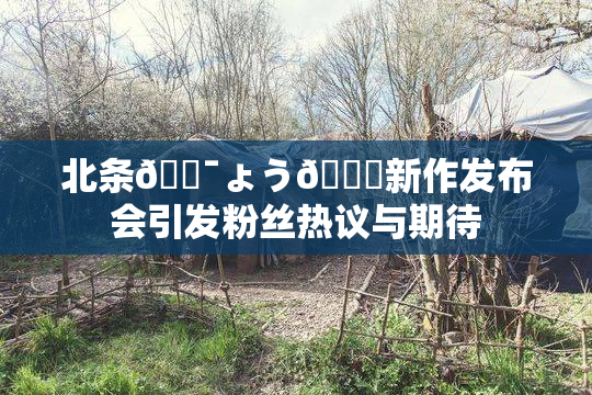 北条🔯ょう🍓新作发布会引发粉丝热议与期待