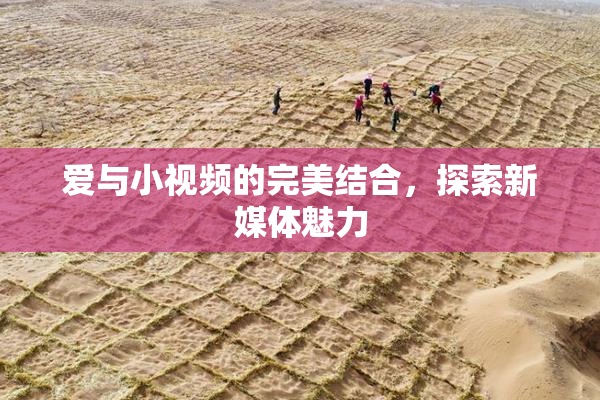 爱与小视频的完美结合，探索新媒体魅力