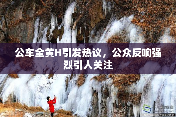 公车全黄H引发热议，公众反响强烈引人关注