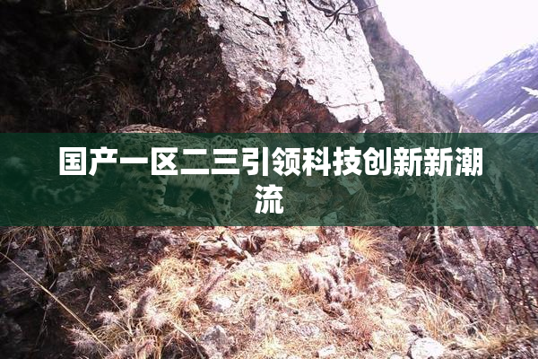 国产一区二三引领科技创新新潮流