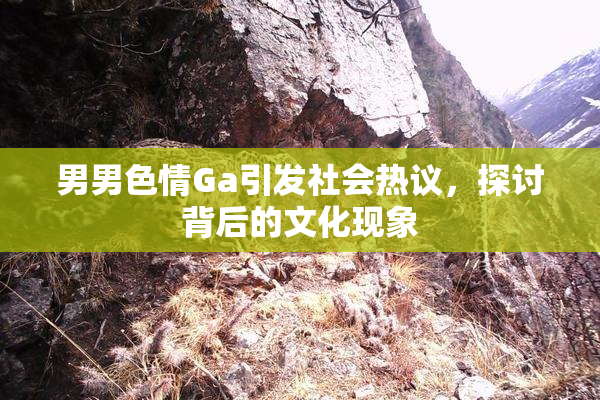 男男色情Ga引发社会热议，探讨背后的文化现象