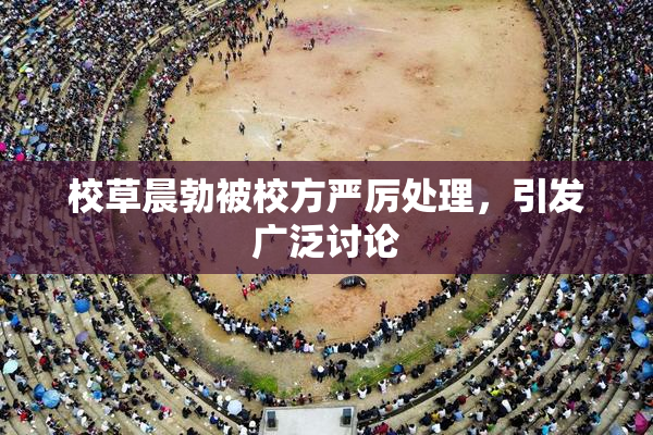 校草晨勃被校方严厉处理，引发广泛讨论