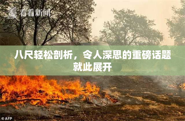 八尺轻松剖析，令人深思的重磅话题就此展开