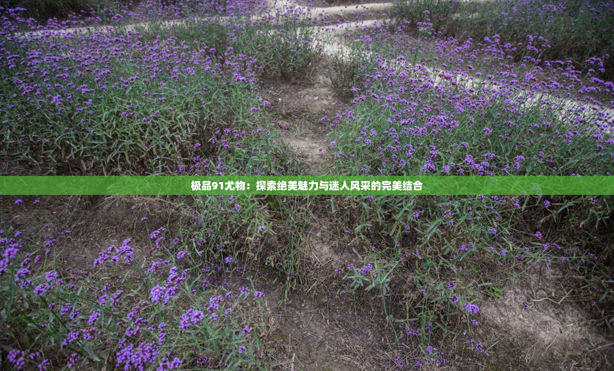 极品91尤物：探索绝美魅力与迷人风采的完美结合