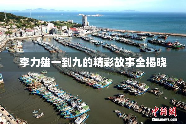李力雄一到九的精彩故事全揭晓