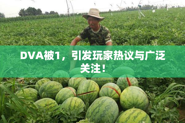 DVA被1，引发玩家热议与广泛关注！