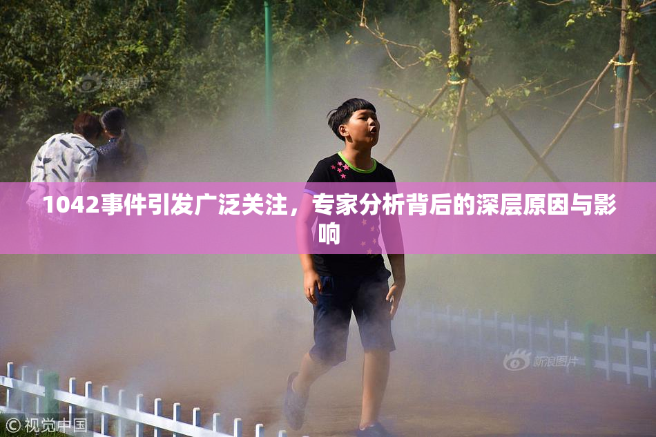 1042事件引发广泛关注，专家分析背后的深层原因与影响