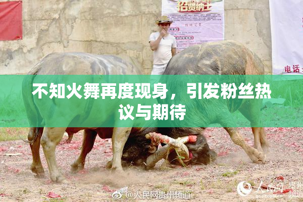 不知火舞再度现身，引发粉丝热议与期待