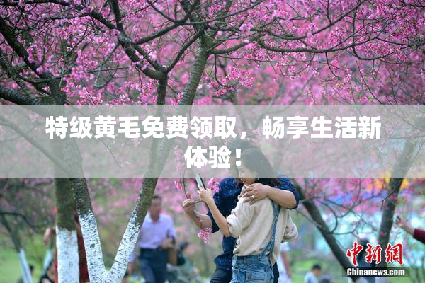 特级黄毛免费领取，畅享生活新体验！
